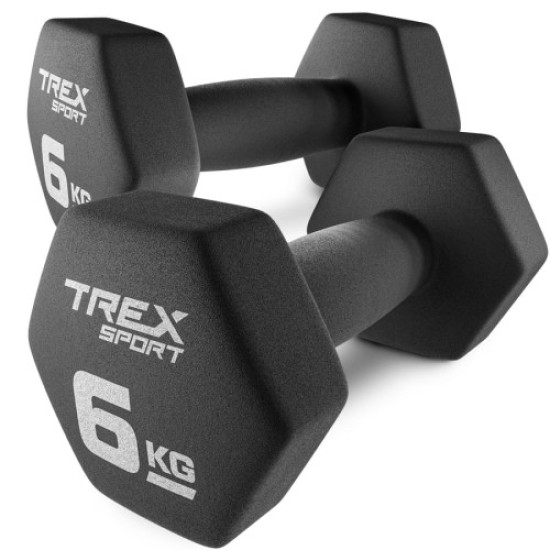Купить Гантель  Trex Sport TX-060VD 2x6 кг в Киеве - фото №1